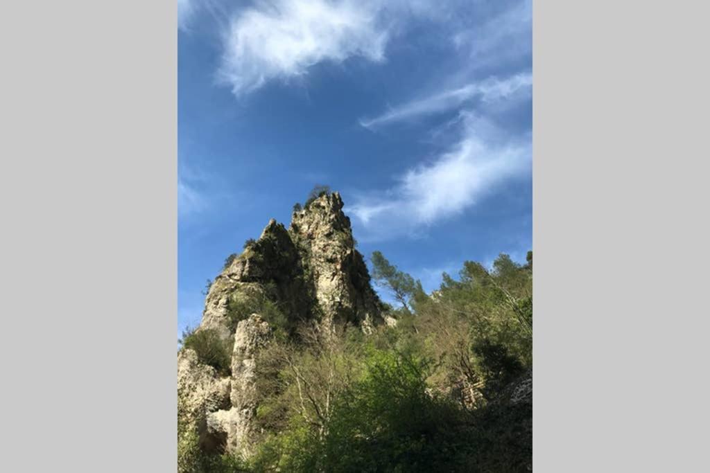 La Mansio Villa L'Isle-sur-la-Sorgue Kültér fotó
