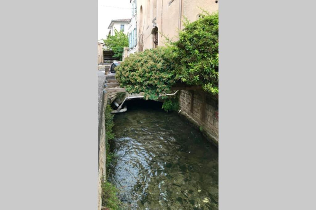 La Mansio Villa L'Isle-sur-la-Sorgue Kültér fotó